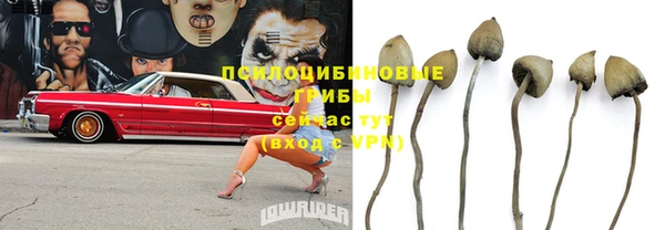 apvp Усмань
