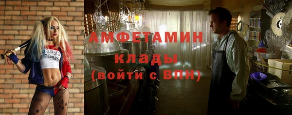 дживик Туринск