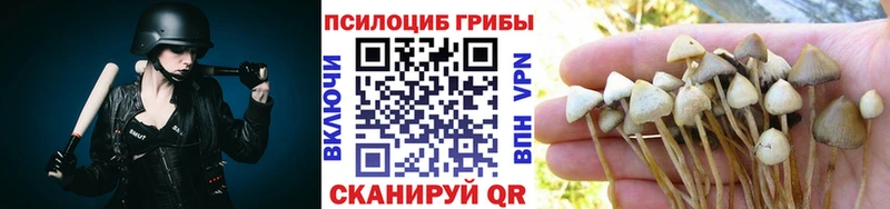 Галлюциногенные грибы мицелий Углич