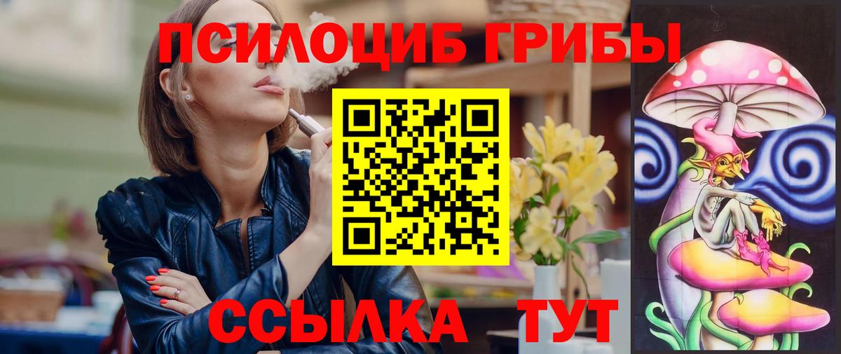 Псилоцибиновые грибы мицелий  Вход с VPN  Углич  Псилоцибиновые грибы прущие грибы 