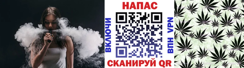 Бошки Шишки гибрид  Углич 